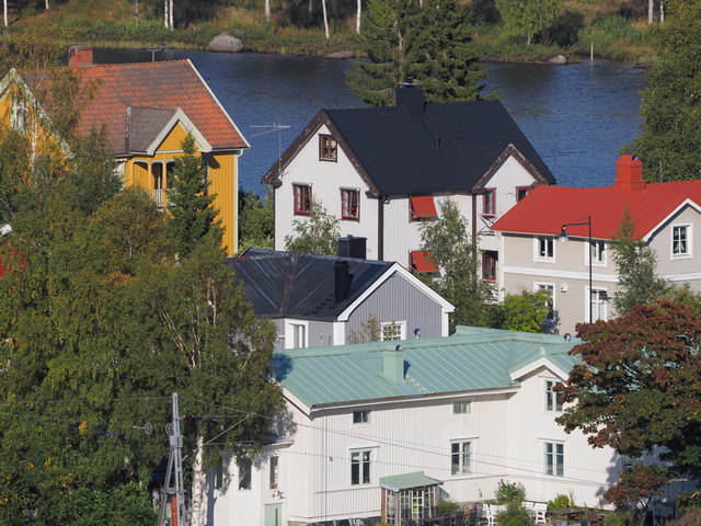 Olympus 100-400_18w.jpg