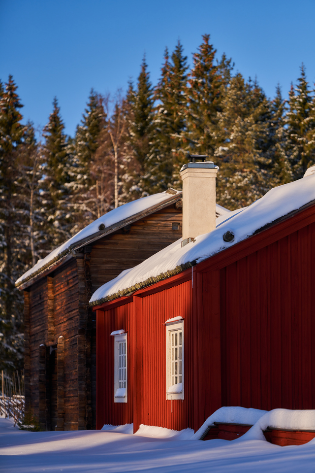 Samyang 135mm f1.8_17w.jpg