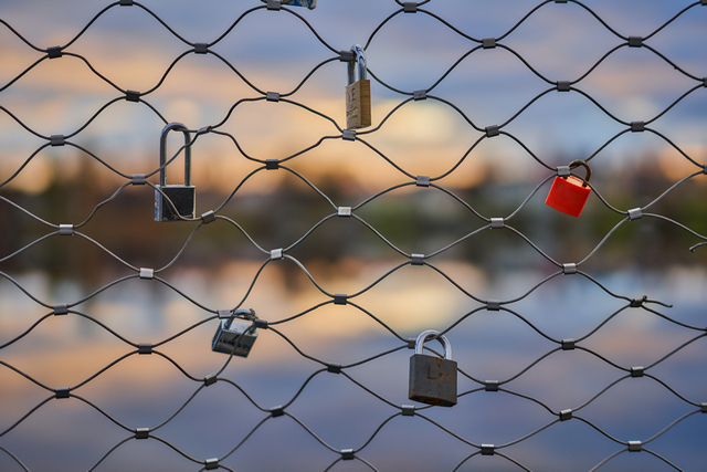 Samyang 50mm f1.4 II_23w.jpg