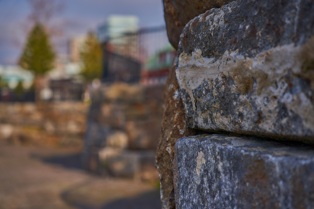 Sigma 28-70 DN_13w.jpg