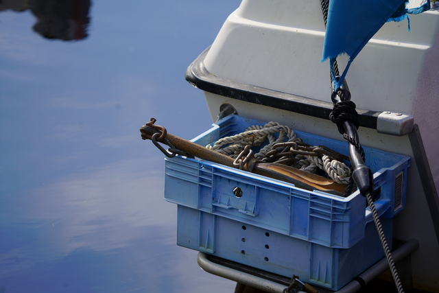 sony_fe_200 600mm_34w.jpg