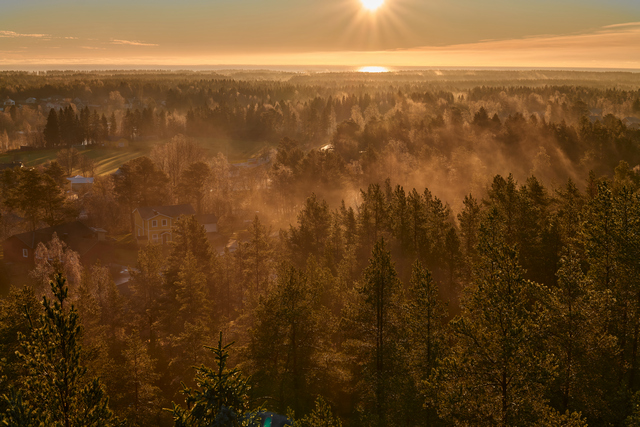 Panasonic S 50mm f1.4_23w.jpg