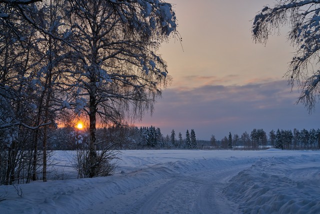 Sony FE 50mm f1.4 GM_6w.jpg