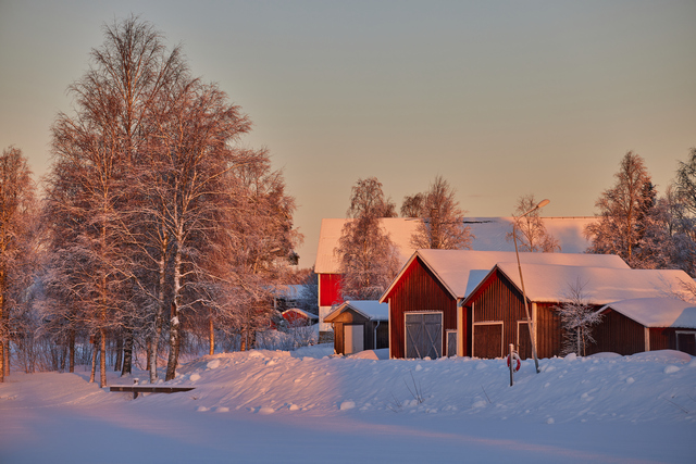 Canon RF 135 f1.8_14w.jpg