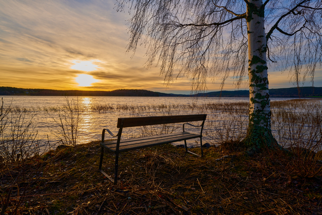 Nikon Z 14_24 f2.8_19w.jpg