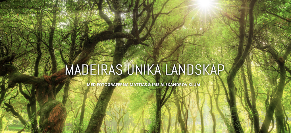 Skärmavbild 2022-06-05 kl. 13.03.13.png