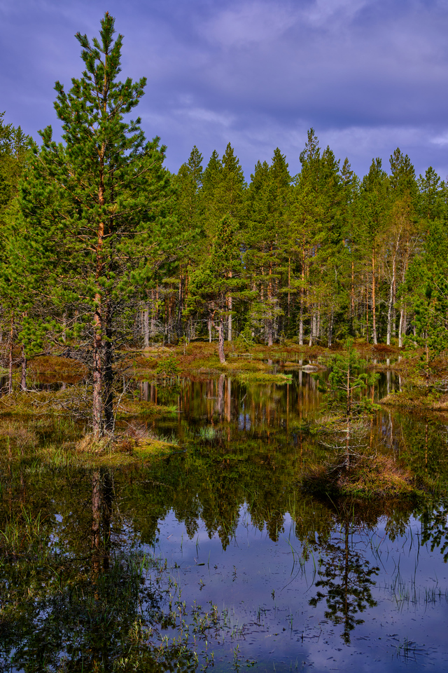 Viltrox 33 f1.4_7w.jpg