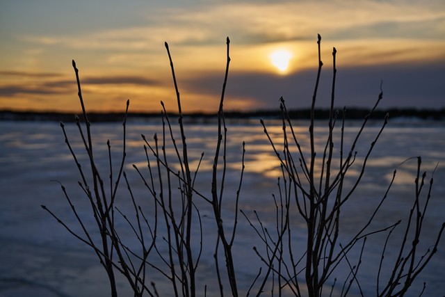 Sigma 50mm f1.4 DN_7w.jpg