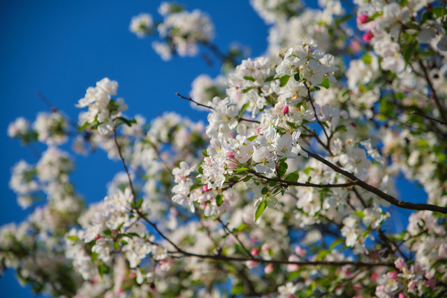 Tamron 17-70 f2.8 XF_7w.jpg