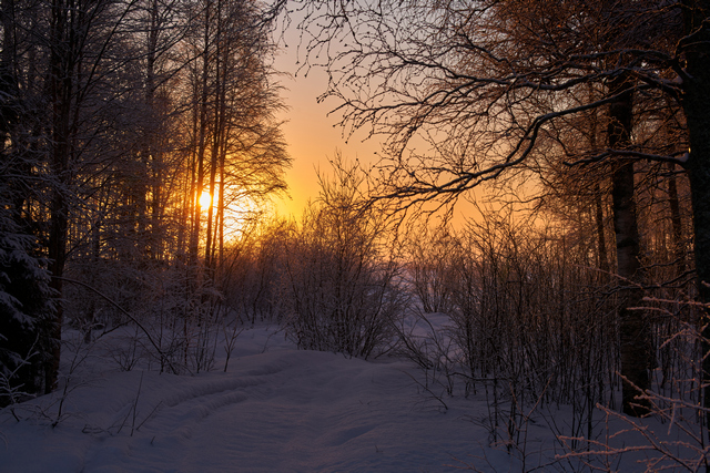 Sigma 60-600mm DN_6w.jpg