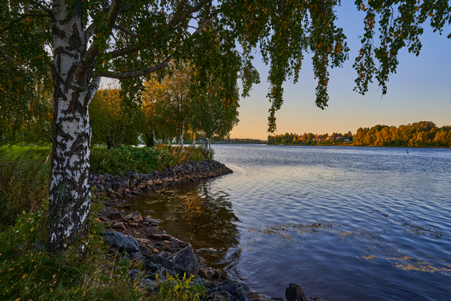 Sigma 24mm f2 DN_5w.jpg