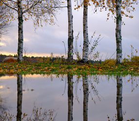 Fujifilm XF 33mm f1.4_blogg.jpg