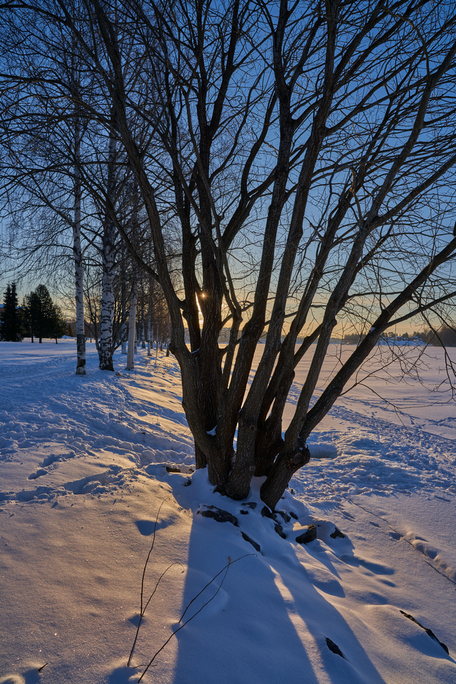 Sigma 20mm f2 DN_8w.jpg