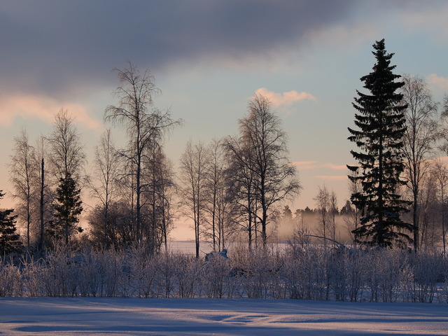 Olympus OM-1_19w.jpg