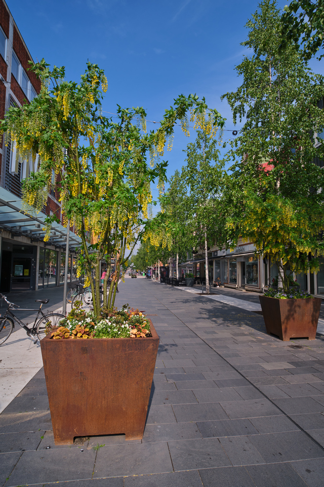 Viltrox 13mm f1.4_19w.jpg