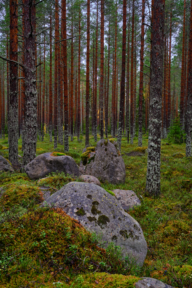 Fujifilm XF 33mm f1.4_23w.jpg