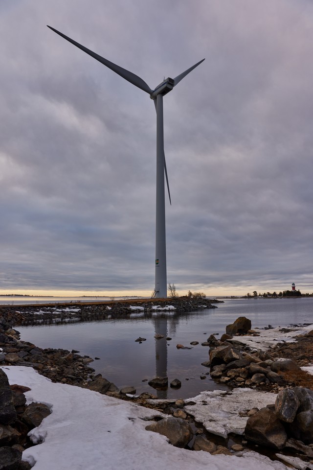 Canon RF 24-50mm_9w.jpg