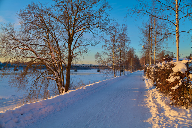 Panaosonic S 35mm f1.8_1w.jpg