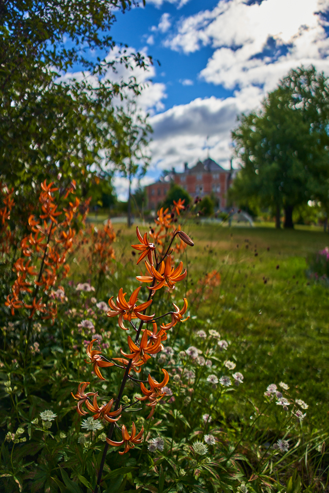 Sony 15mm f1.4_8w.jpg