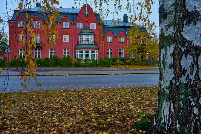 Sony A7s III_13w.jpg