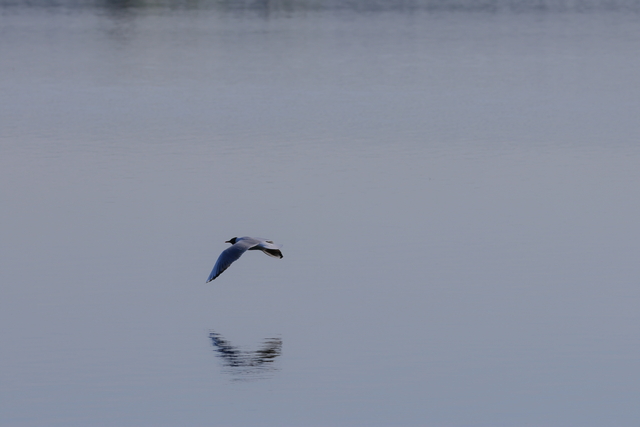 Canon EOS R7_23w.jpg