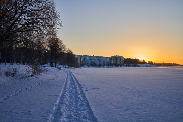 Samyang V-AF 35mm f1.8_1w.jpg