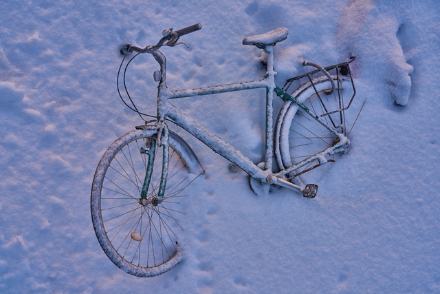 Sigma 65mm f2_17w.jpg