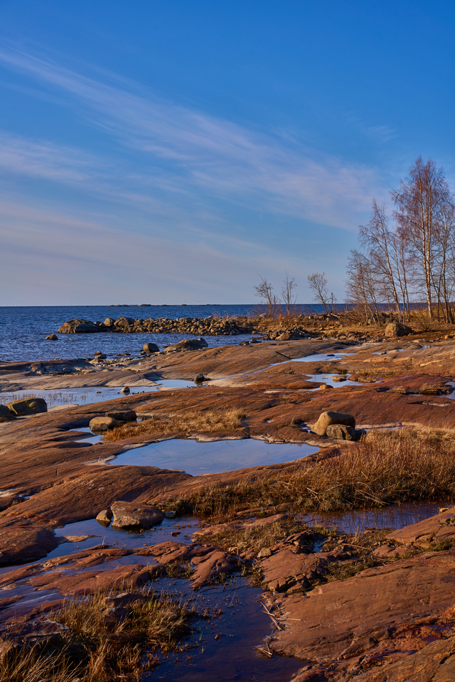 Sony 50mm f2.5_4w.jpg