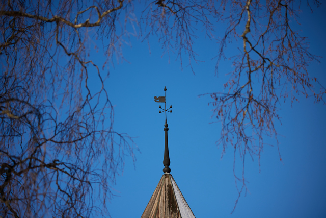 Canon RF 100-400mm_11w.jpg