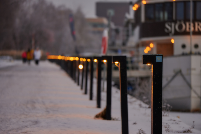 nikon z50 250 dx_49w.jpg