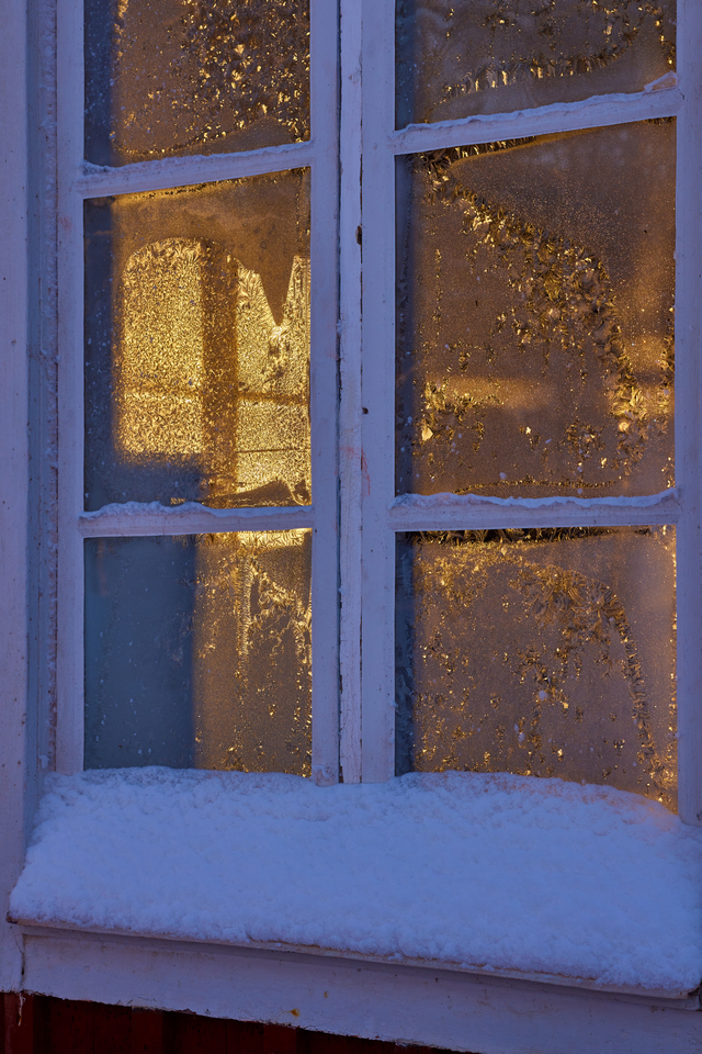 Canon RF 85 macro_2w.jpg