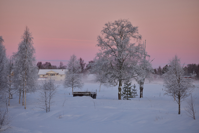 Canon RF 135 f1.8_9w.jpg