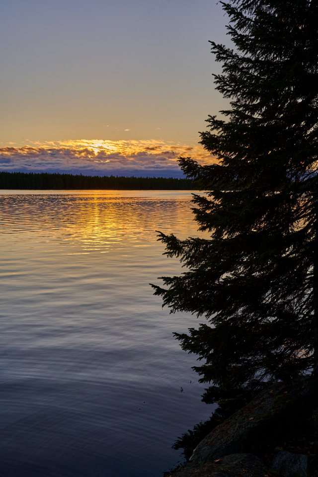 Nikon Z 40mm f2_22w.jpg