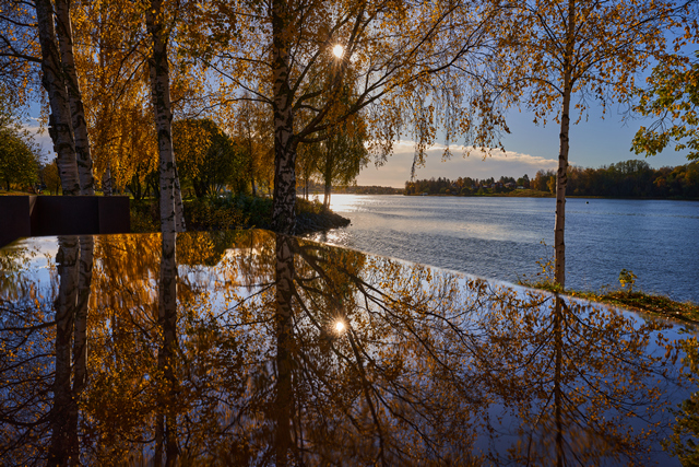 Sigma 24mm f1.4 DN_22w.jpg