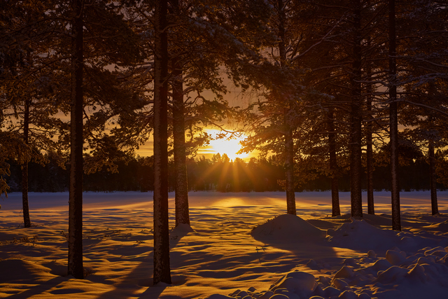 Canon RF 50mm f1.8_7w.jpg