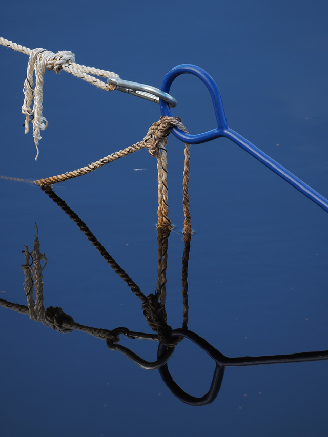 Olympus E-M10 IV_4w.jpg