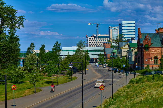 Panasonic S 85 f1.8_14w.jpg