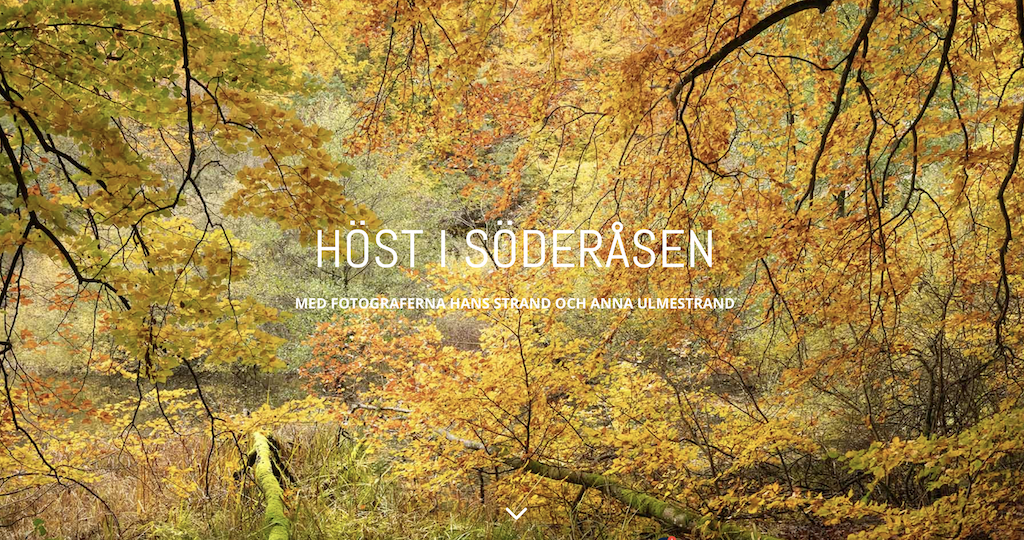 Skärmavbild 2023-02-15 kl. 12.00.05.png