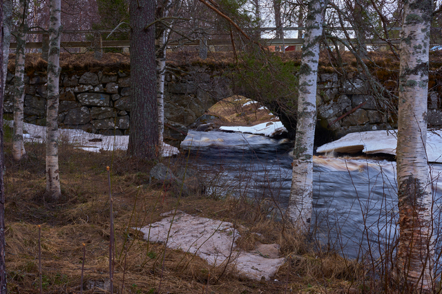 TTartisan 35mm f1.4_9w.jpg