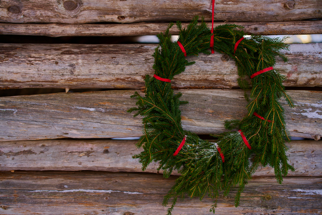 Nikon Z 50 f1.2_6w.jpg