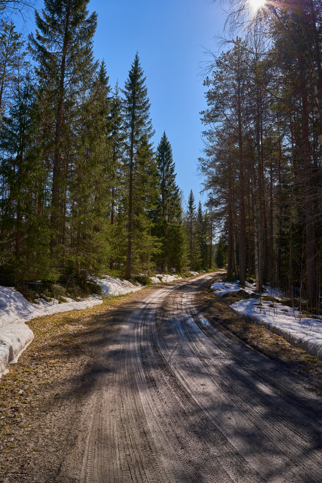 Sony 40mm f2.5_13w.jpg