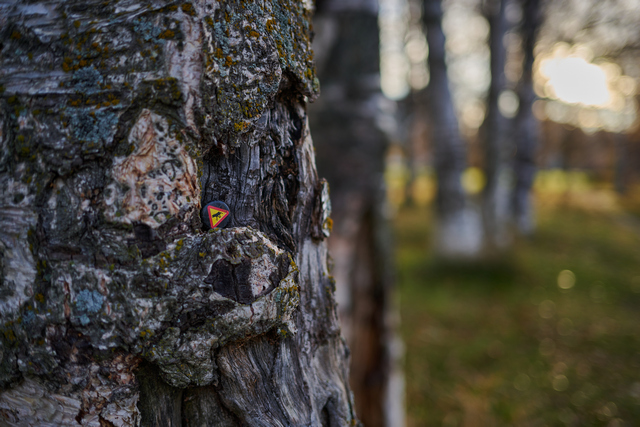 Nikon Z 40mm f2_5w.jpg