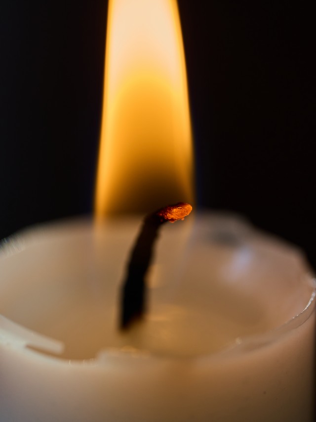 OM System 90mm macro_18w.jpg