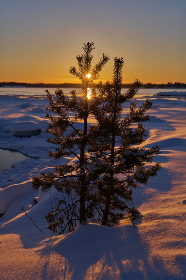 Sony FE 20-70mm f4_22w.jpg