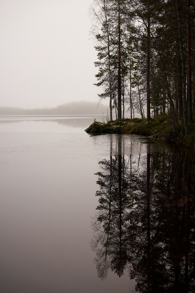 Samyang 50mm f1.4 II_11w.jpg