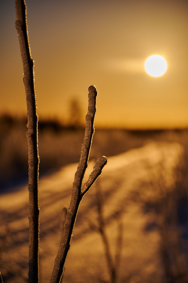 Nikon Z 18-140mm_30w.jpg