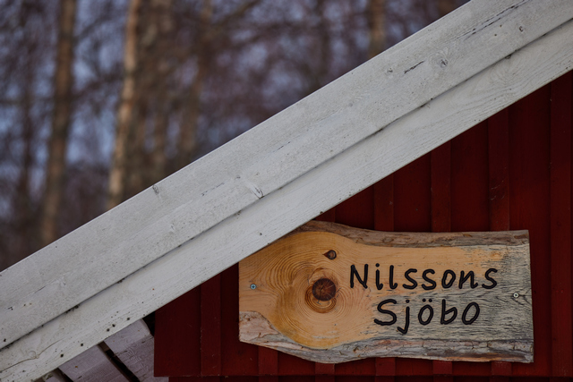 Canon RF 100-400mm_21w.jpg