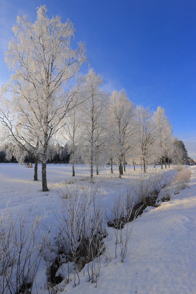 canon eos 1dx mark III_6w.jpg