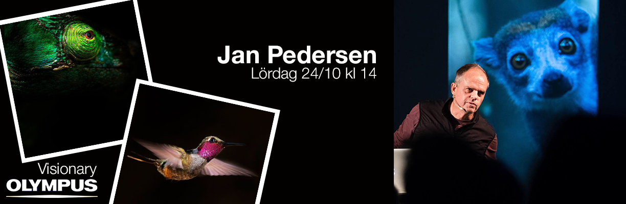 Olympus Jan Pedersen 1024x500.png