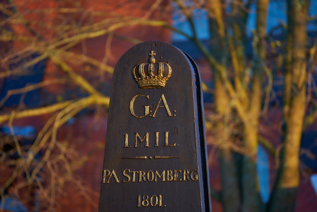 Tamron 70 300 Sony_24w.jpg